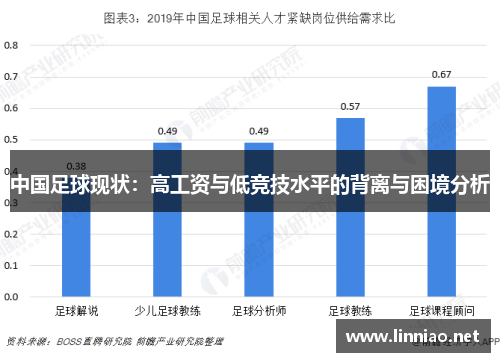 中国足球现状：高工资与低竞技水平的背离与困境分析