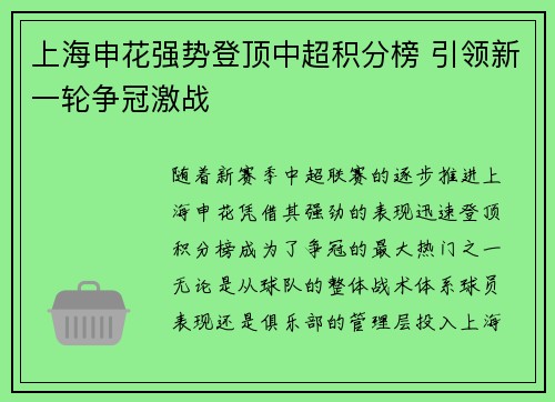 上海申花强势登顶中超积分榜 引领新一轮争冠激战